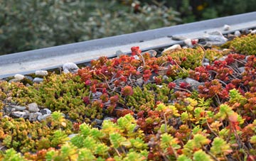 the cost of Twineham green roof installation